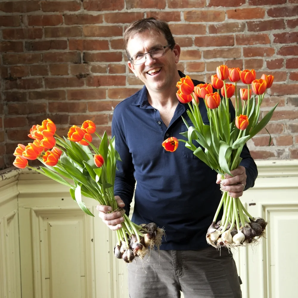 bill_tulips.jpg