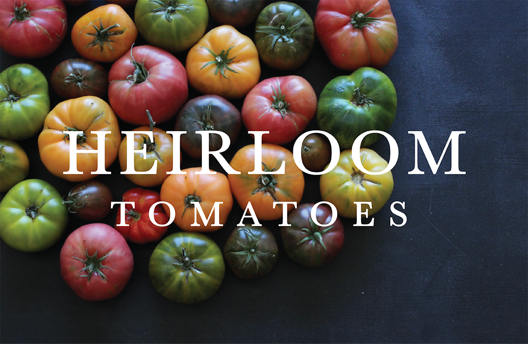 heirloom+tomatoes+title.png