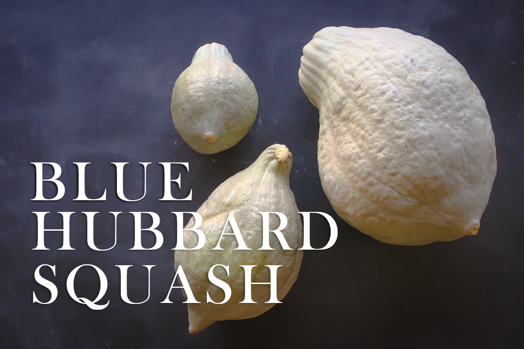 Hubbard.png