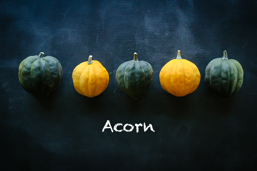 acorn.jpg