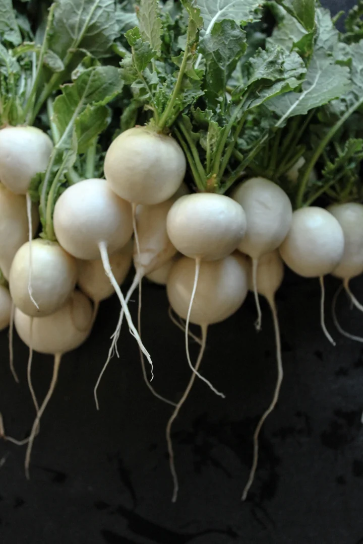 turnips2.jpg