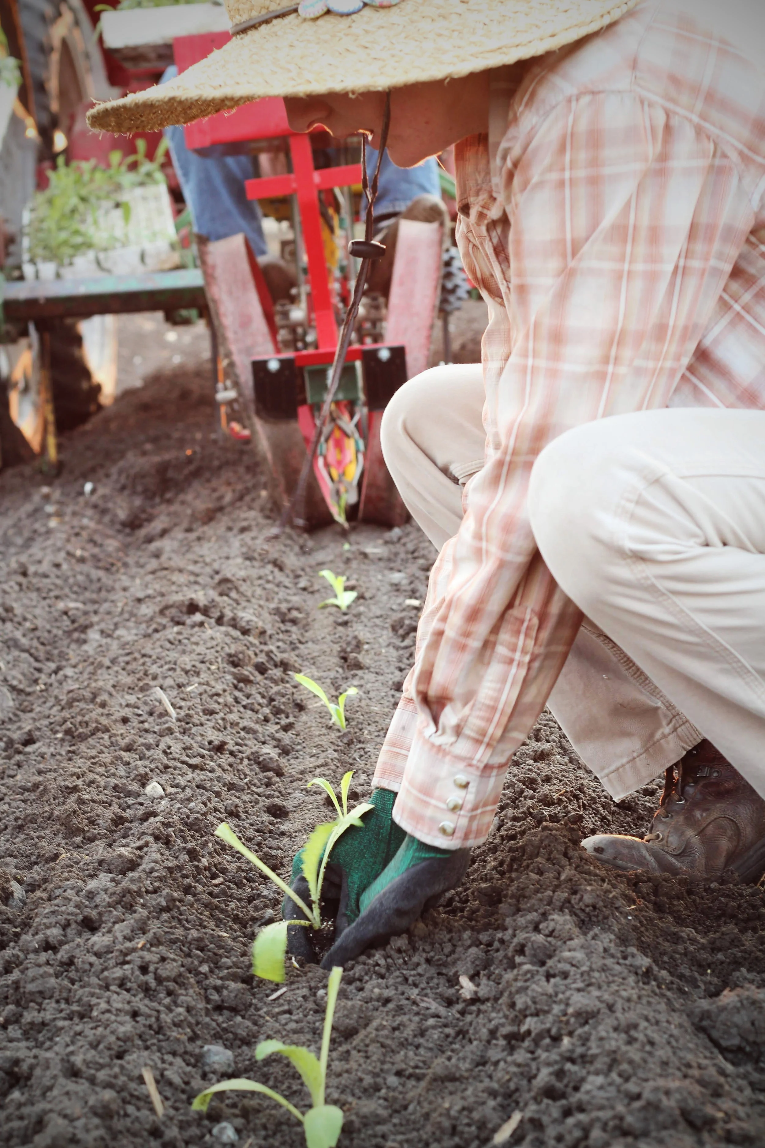 Farmer Spotlight Colleen Hotchkiss — Spade & Plow