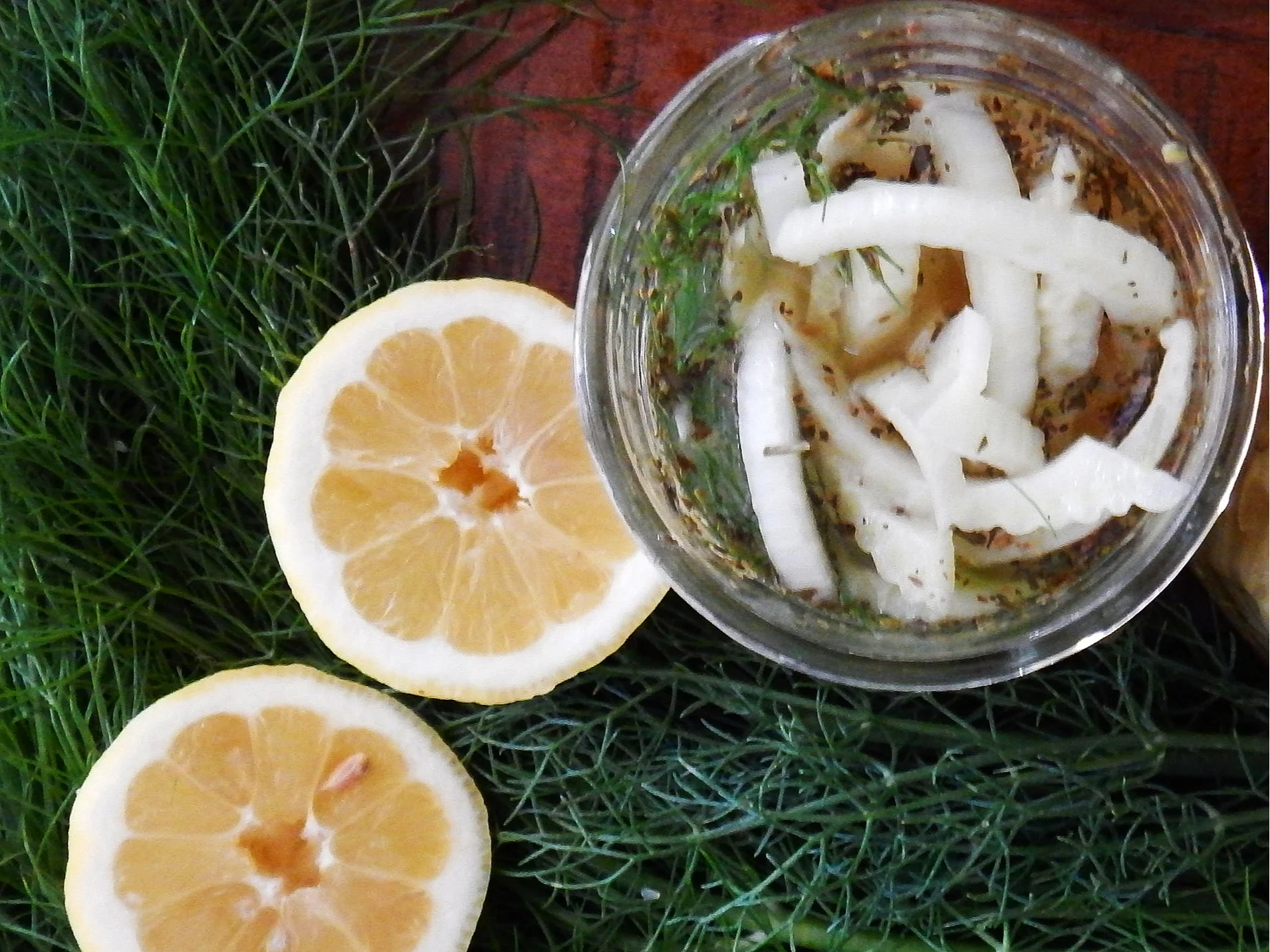 Pickled%2BFennel4%2B6_14_2019.jpg