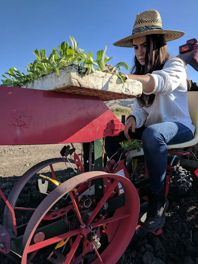 Julia mastering the craft of transplanting