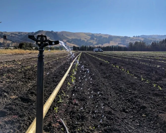 …and watering begins!