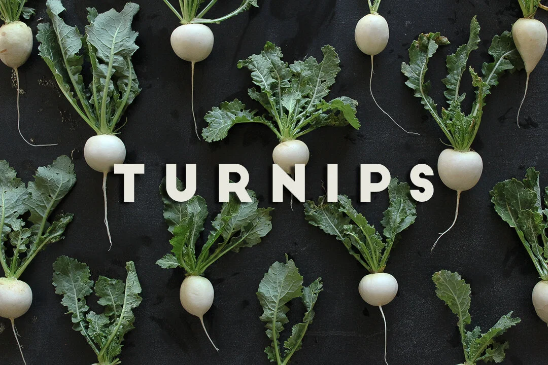 Turn it up for Hakurei Turnips! — Spade & Plow