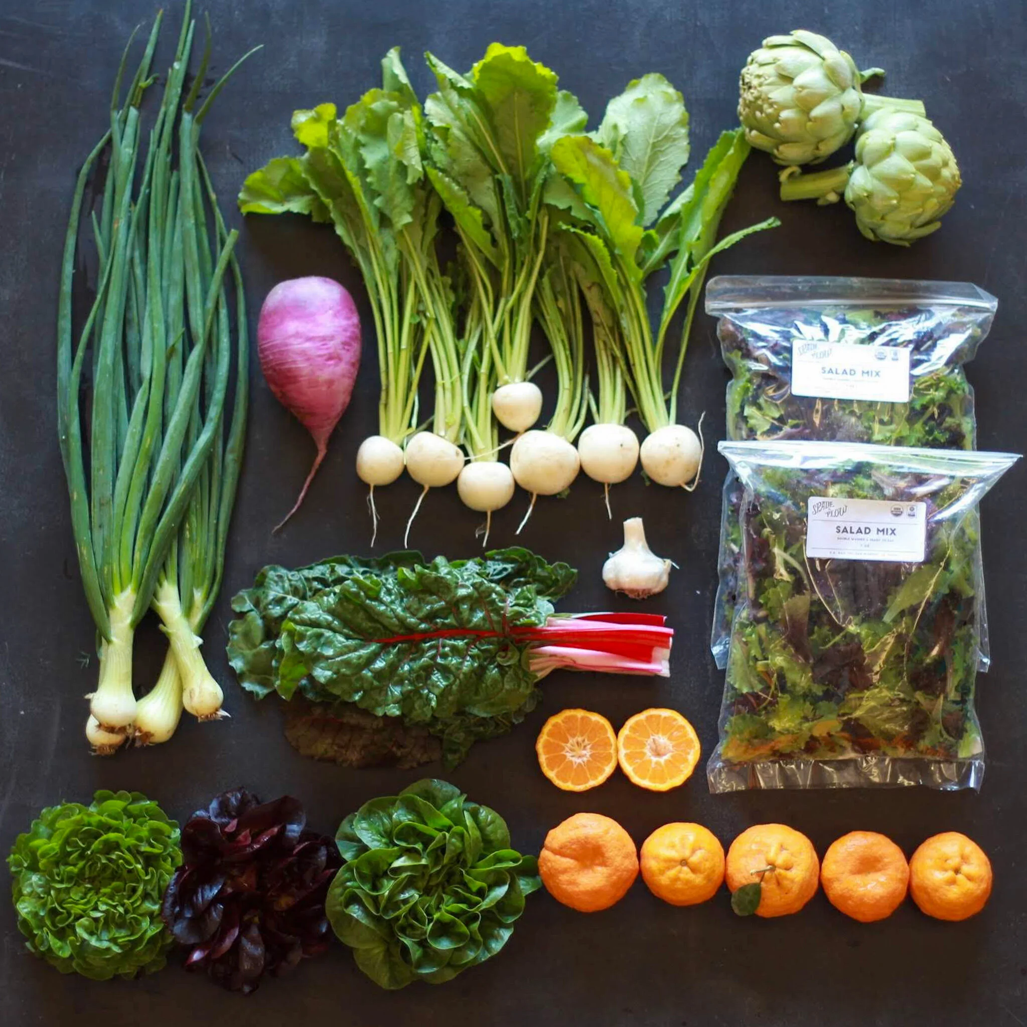 CSA and Farm Updates — Spade & Plow