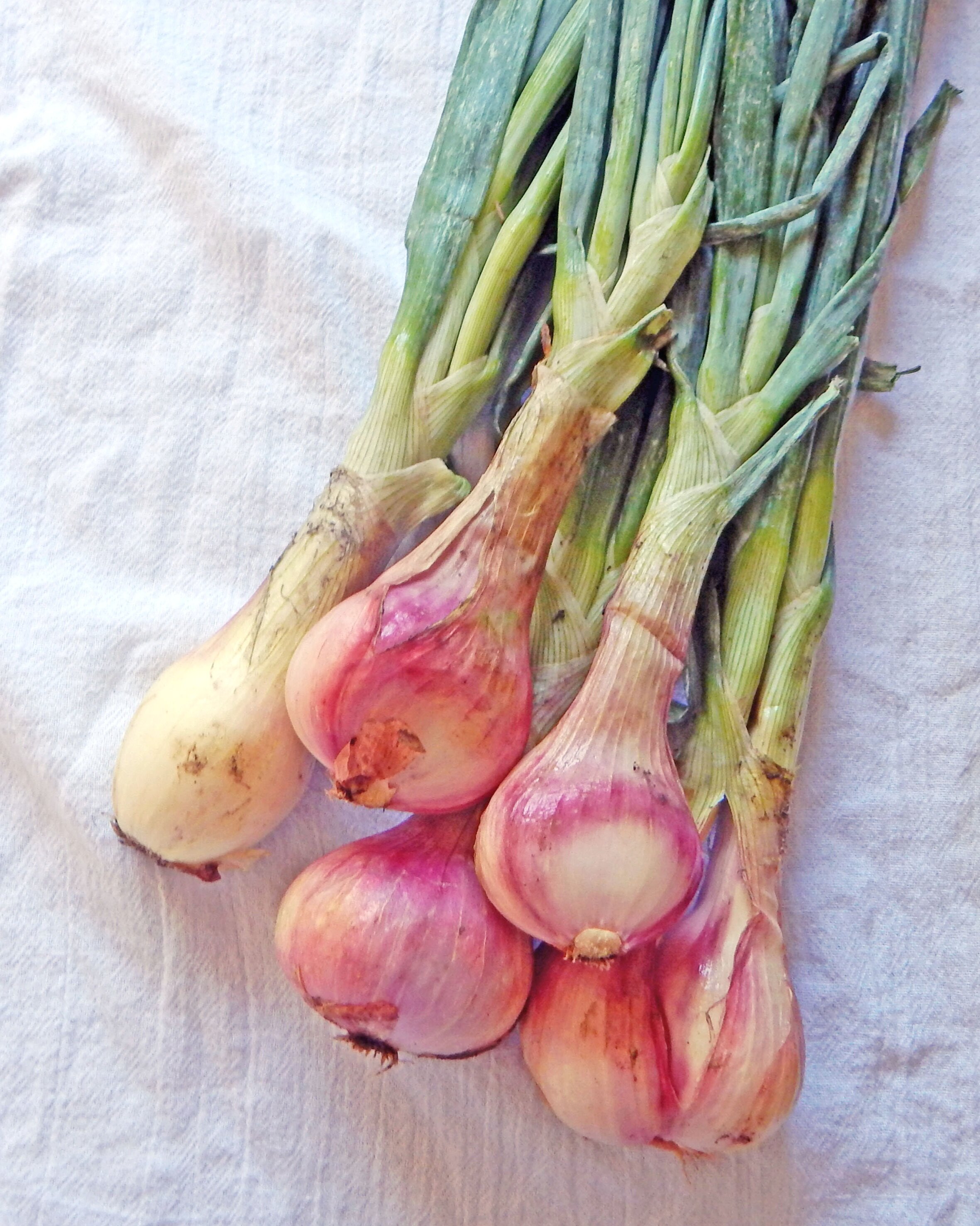 What Are Shallots? How Do You Cook with Them? - Savory Simple
