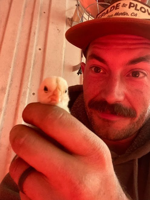 Farmer Nick taking a break to check out our baby chicks.