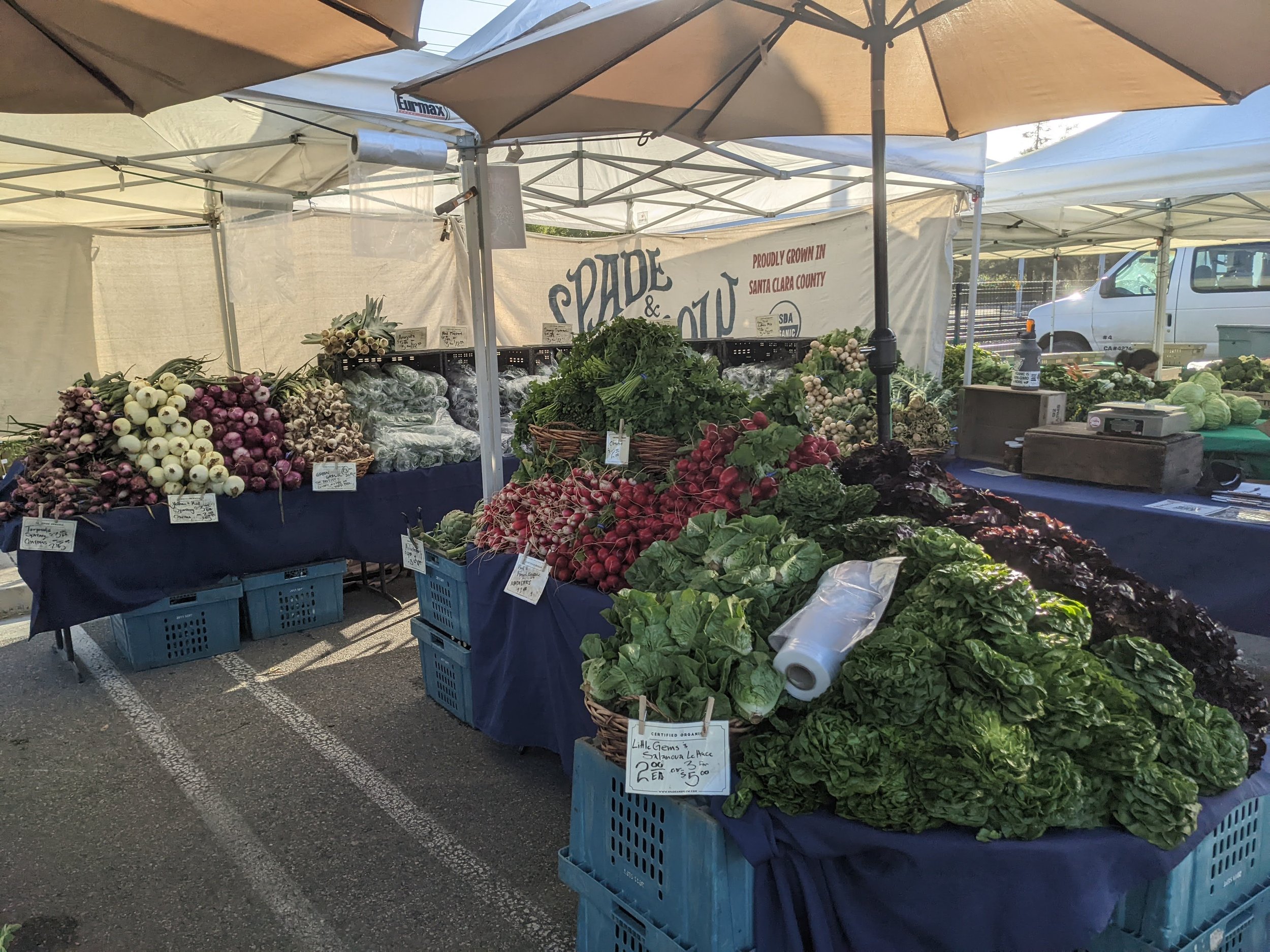 Farmers Markets in spring's full embrace