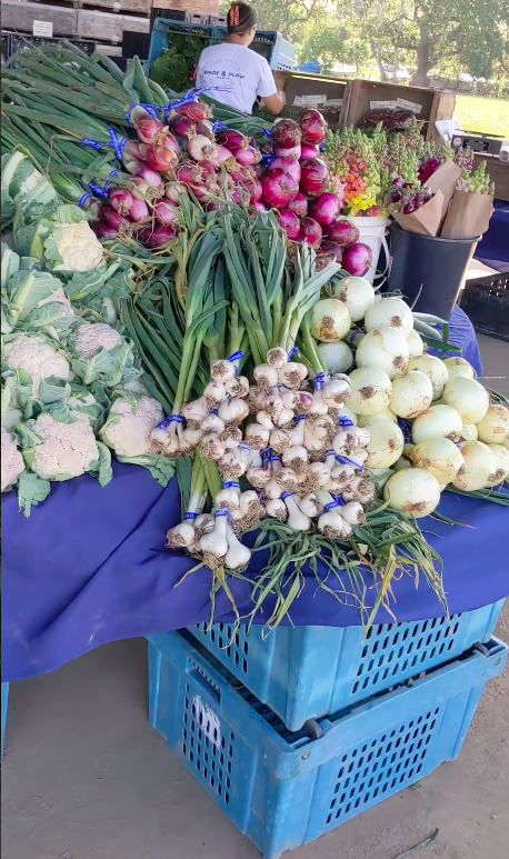Nothing like some spring produce at the Spring TP sale. 