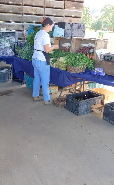 Alexis setting up before customers arrive. 