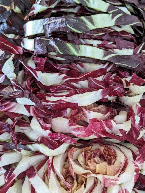 First year doing Treviso radicchio. It's here to stay!