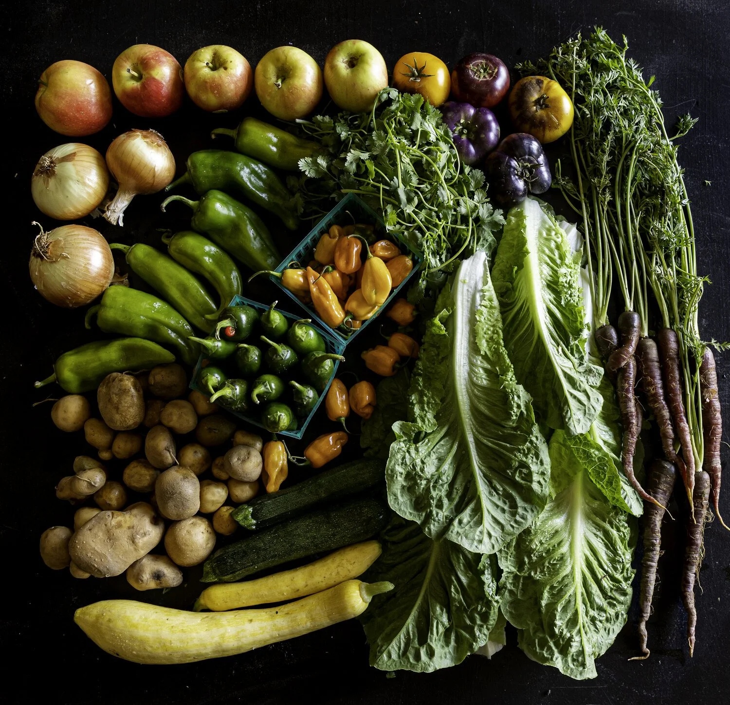 National CSA Day Tell All Your Friends! — Spade & Plow