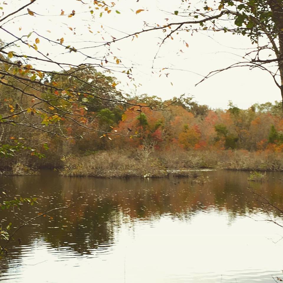 lake in the fall.jpg