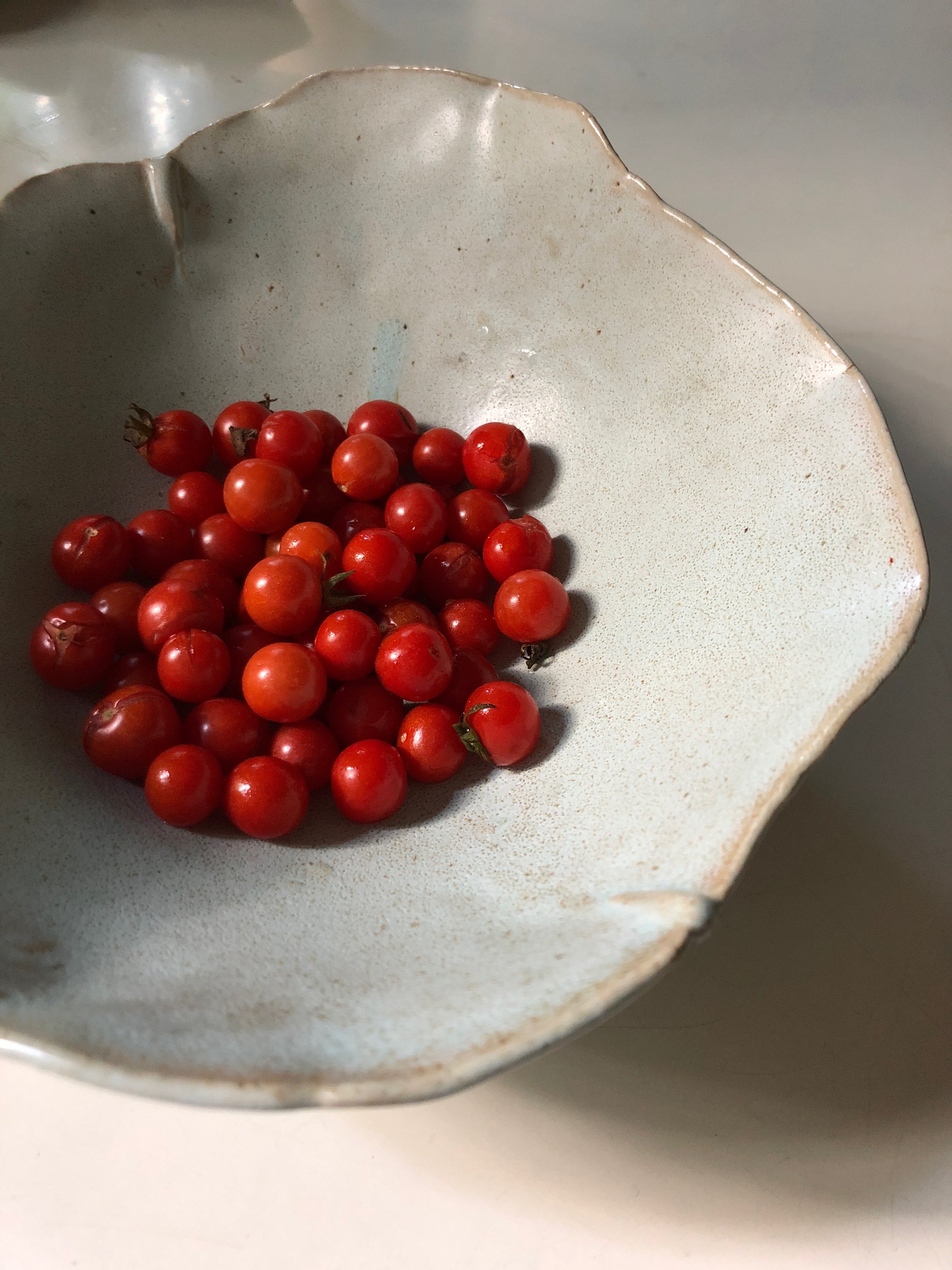 our tomatoes in my bowl.jpg