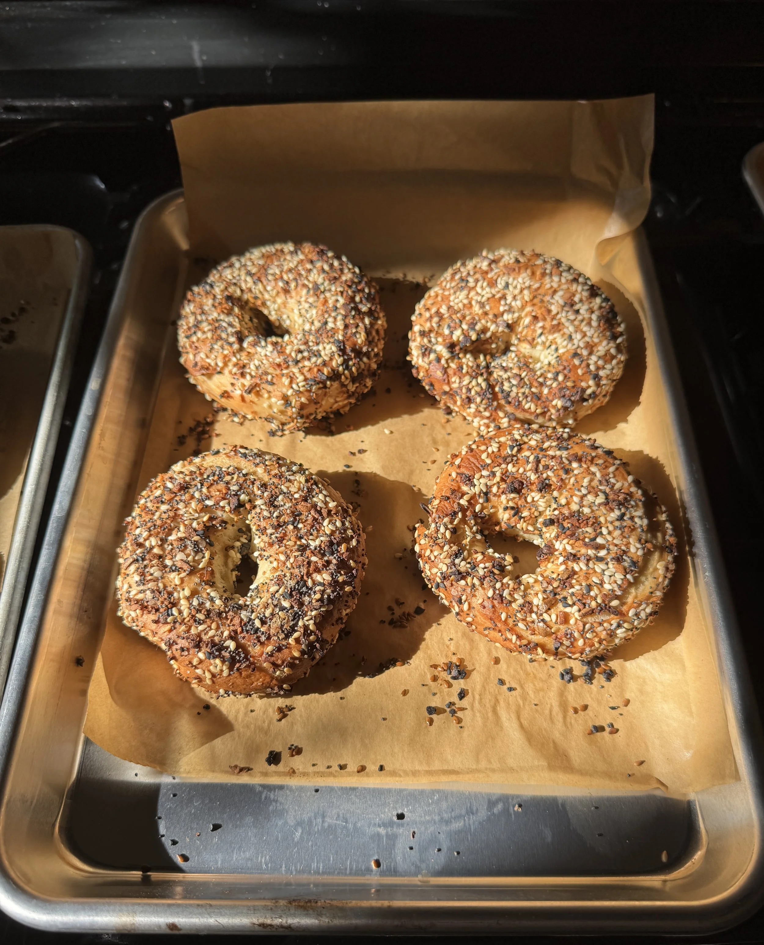 bagels in sun.jpeg