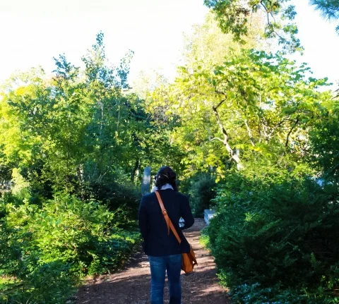 vsco5bda5f5fea47e.jpg