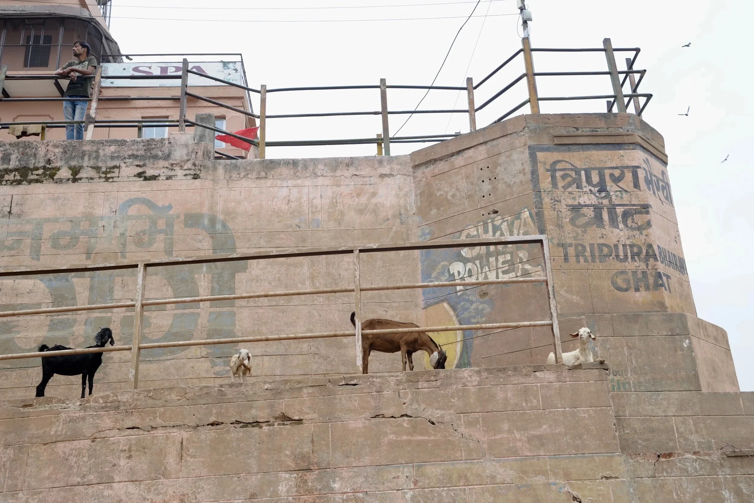  Varanasi 