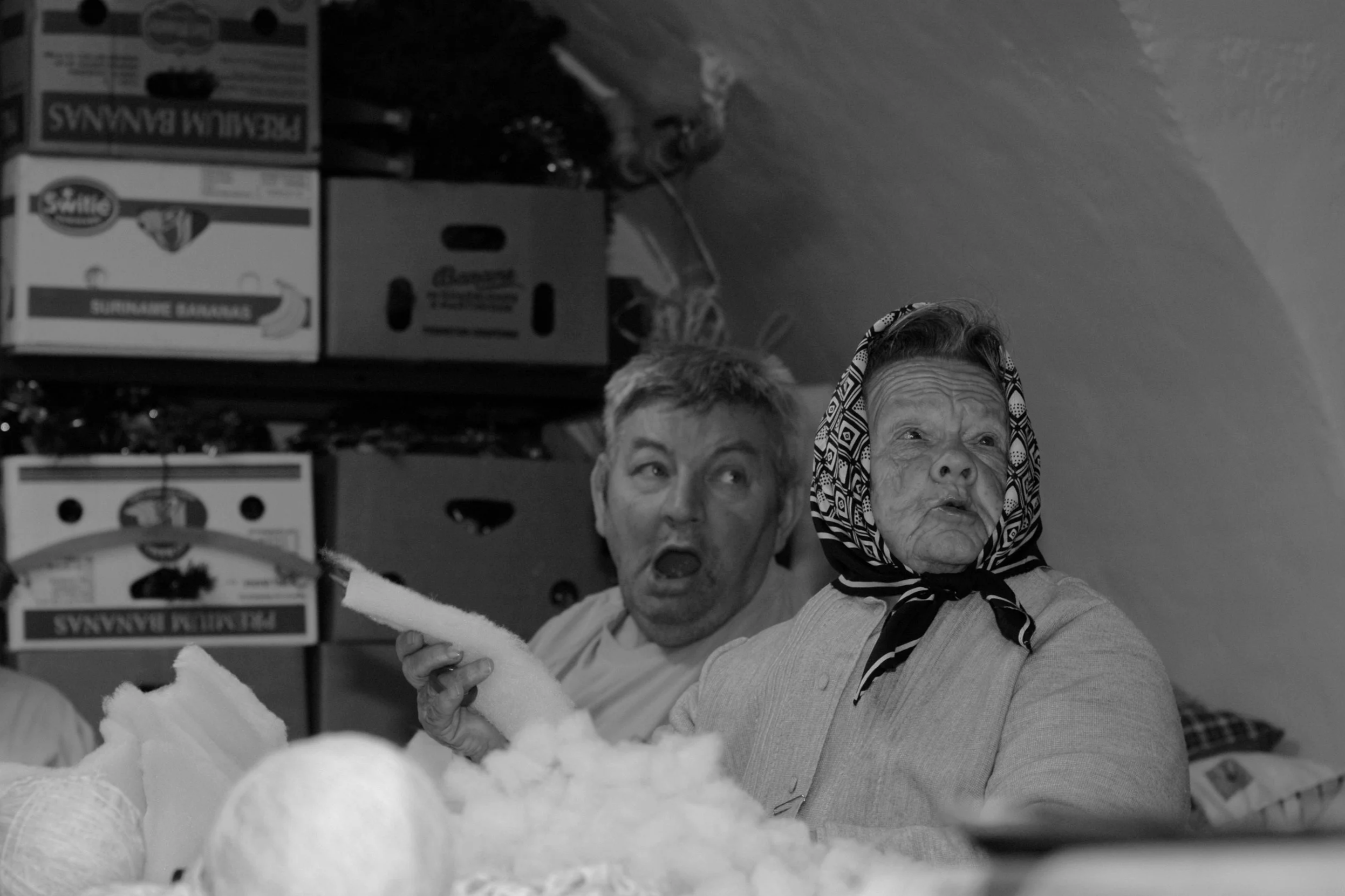 DSC_0150.png