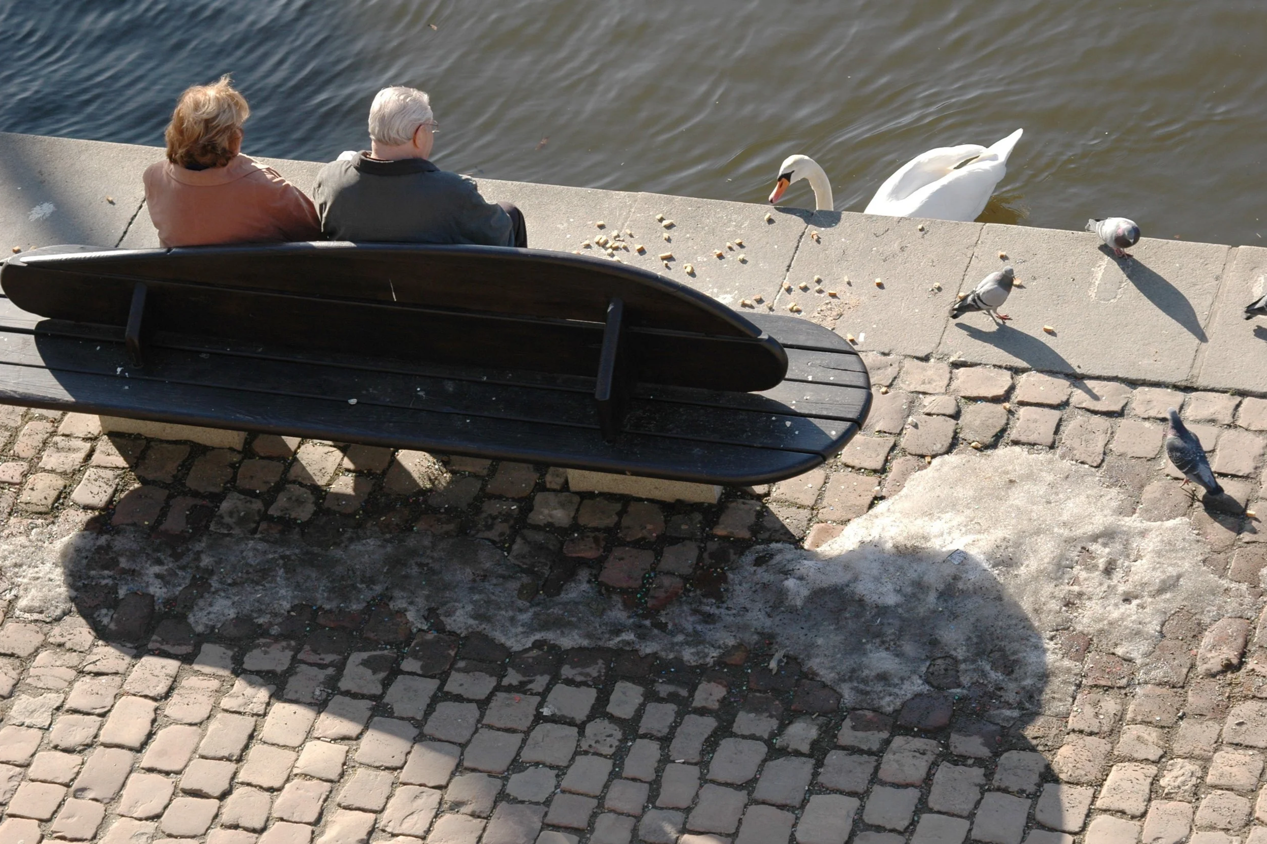 DSC_0095.png