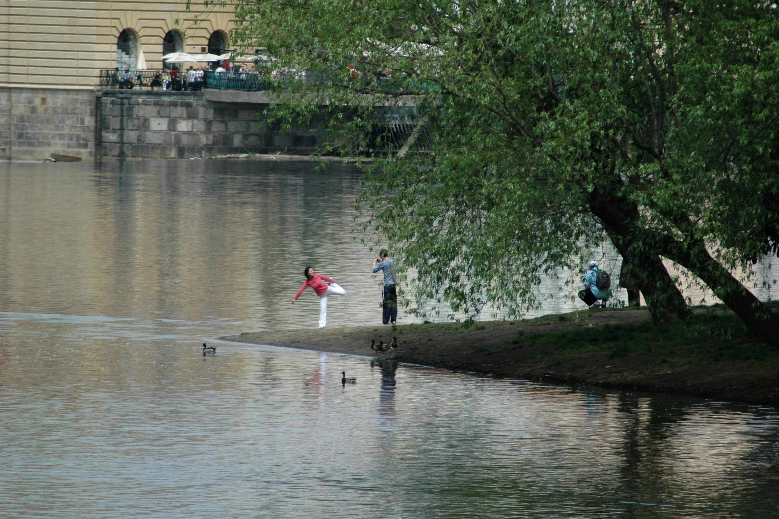 DSC_0099.png