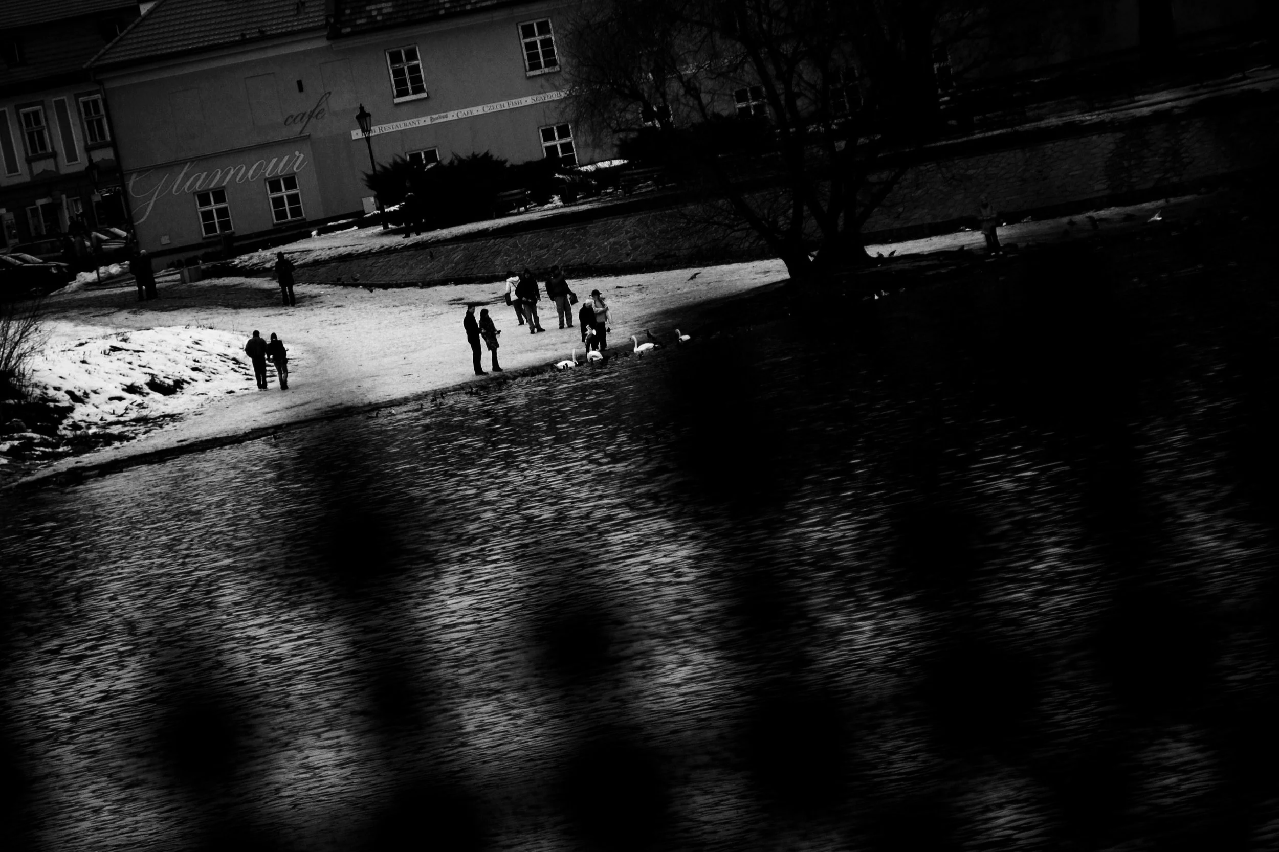 DSC_0119.png