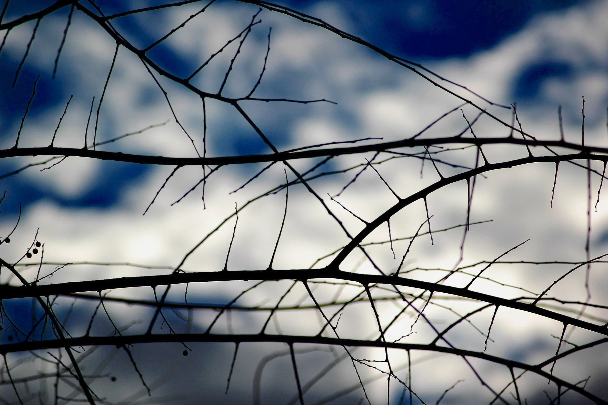 DSC_0124.png