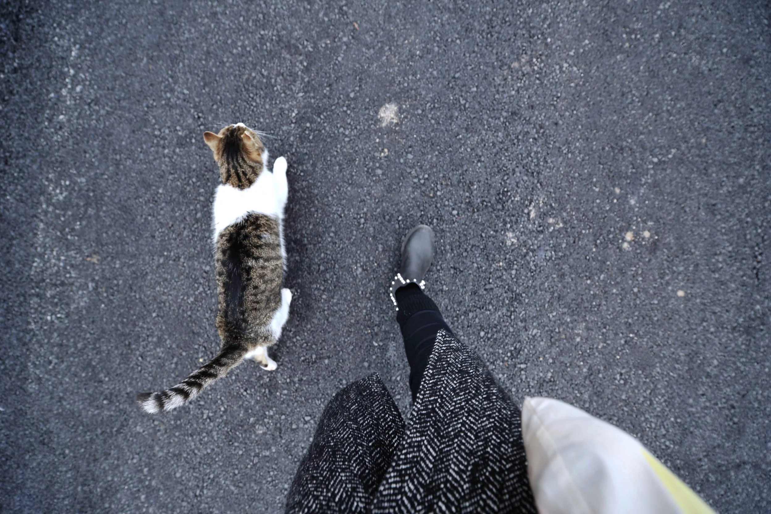 My way