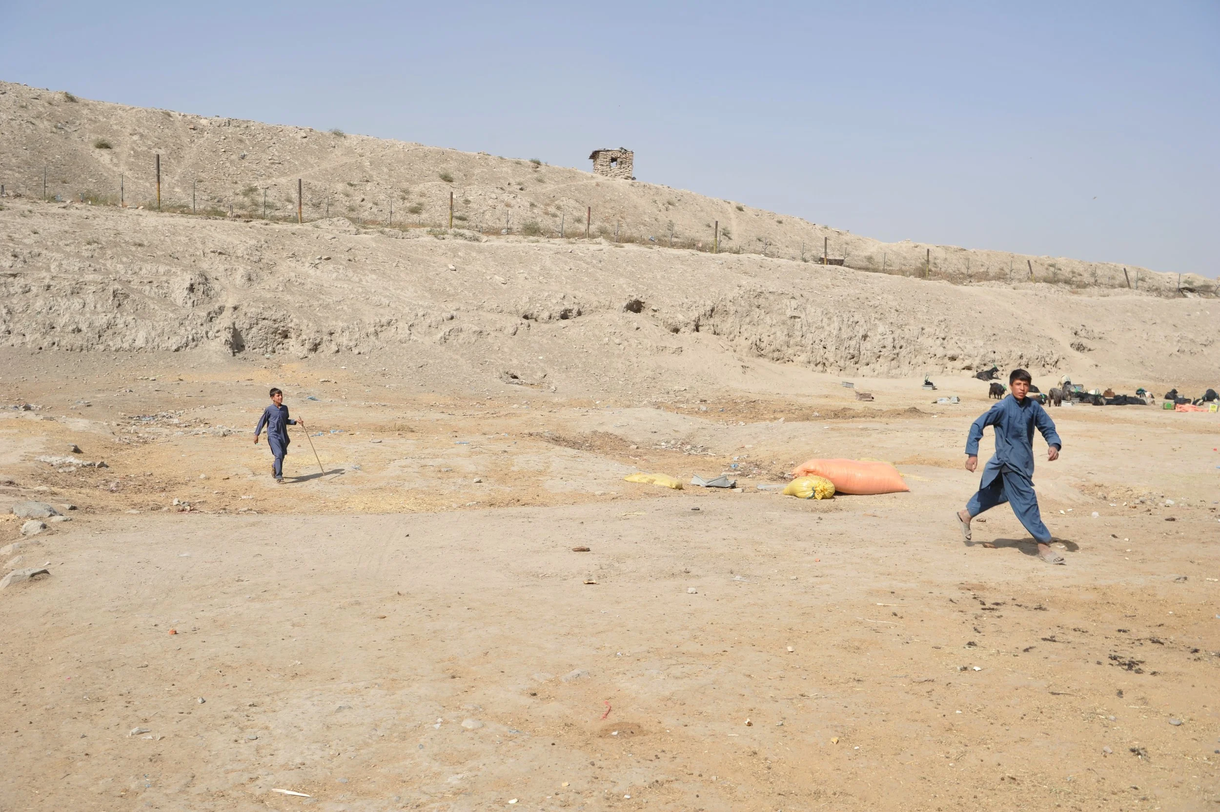 DSC_2086.png