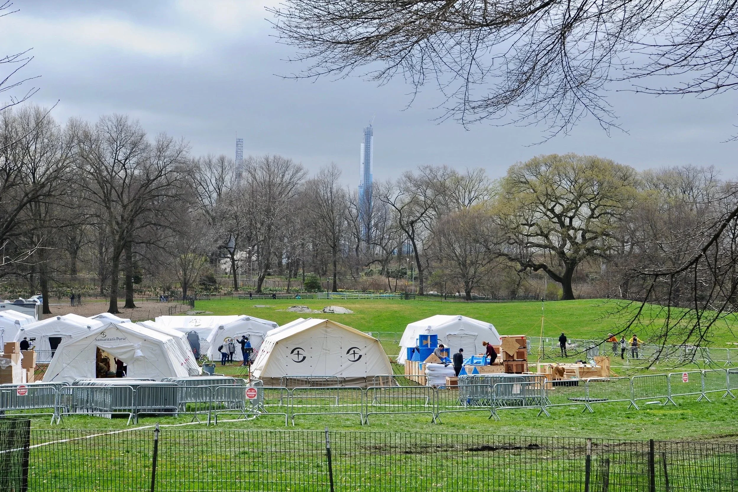 DSC_3140.jpg