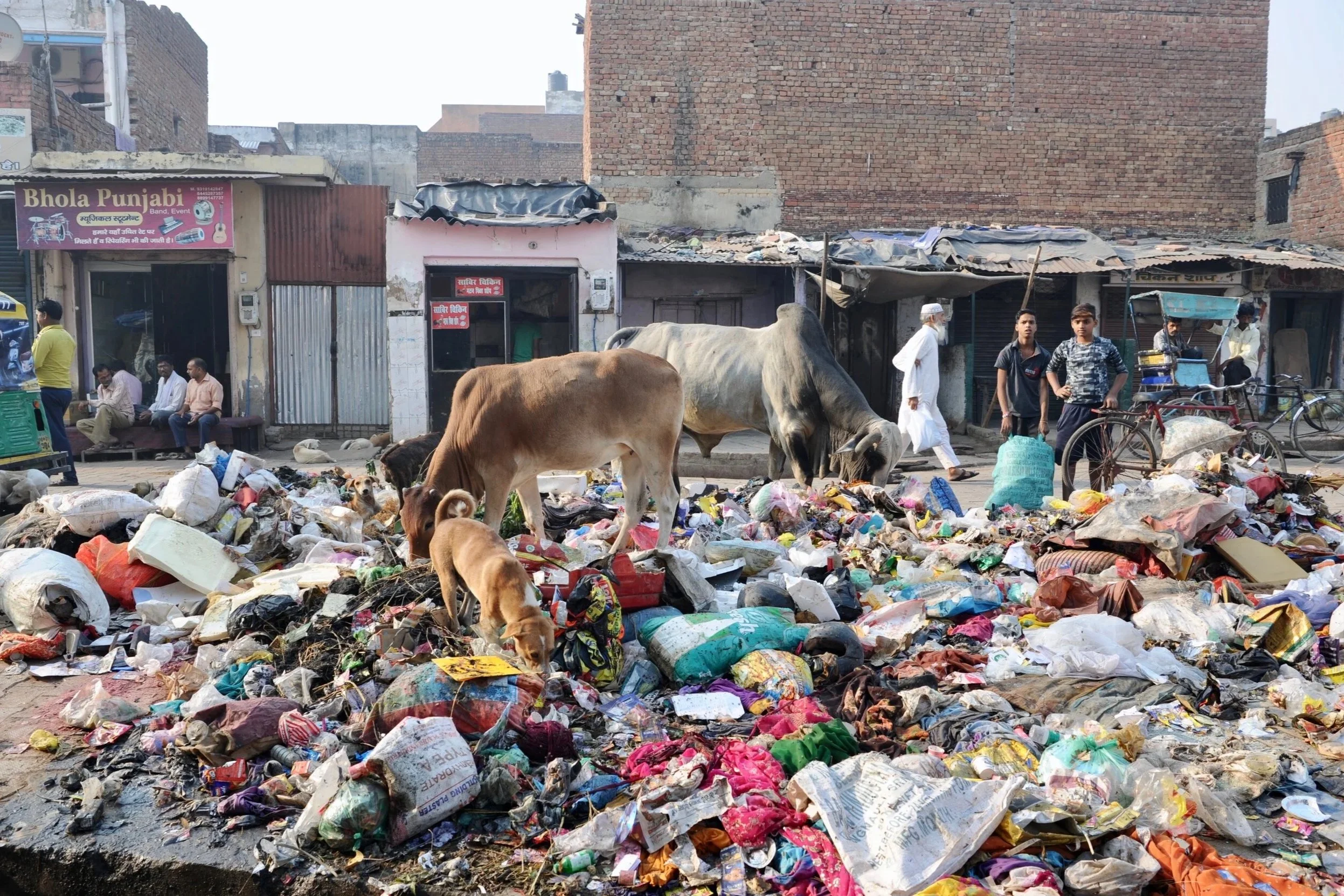  Agra 