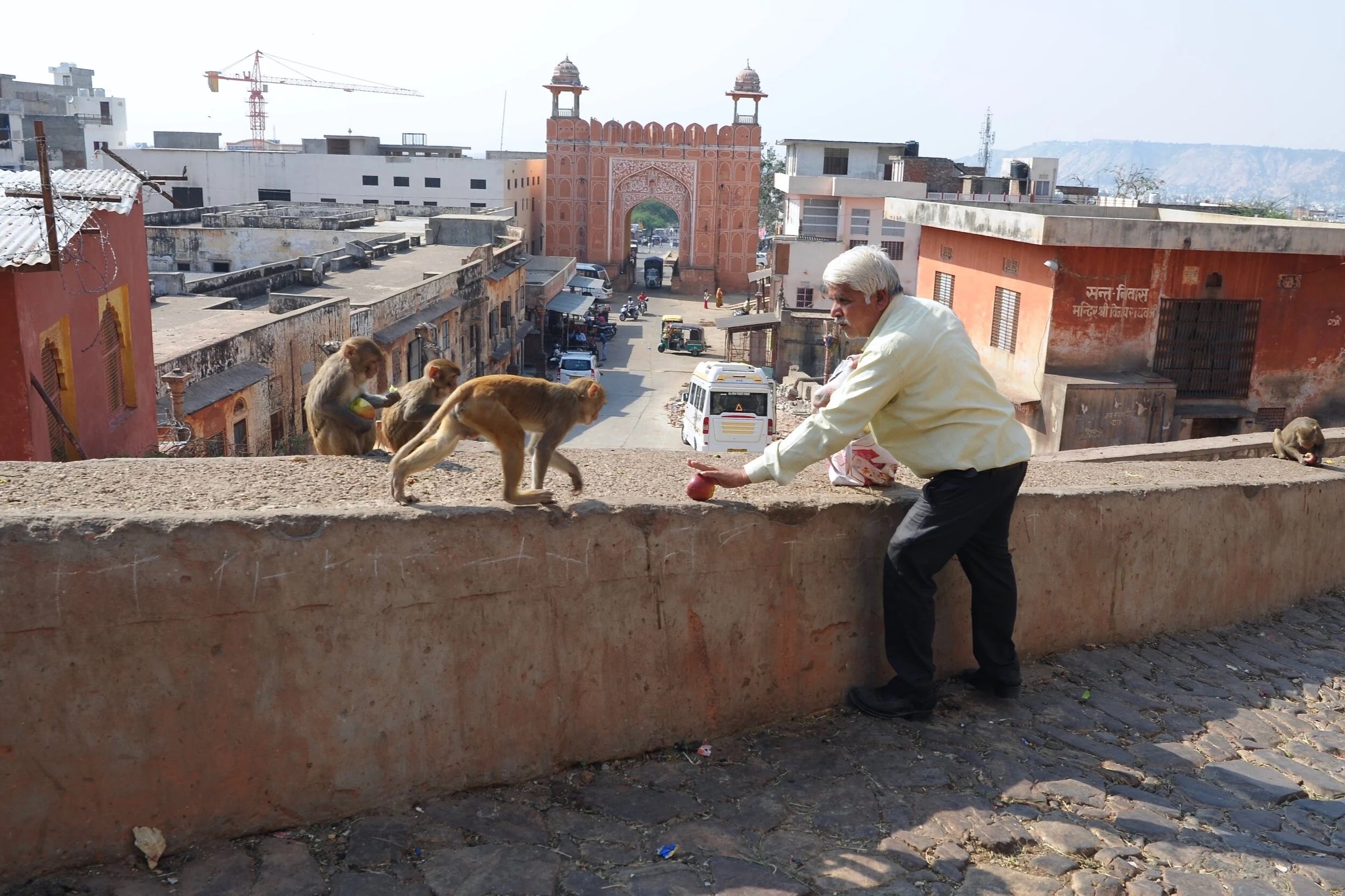  Jaipur 