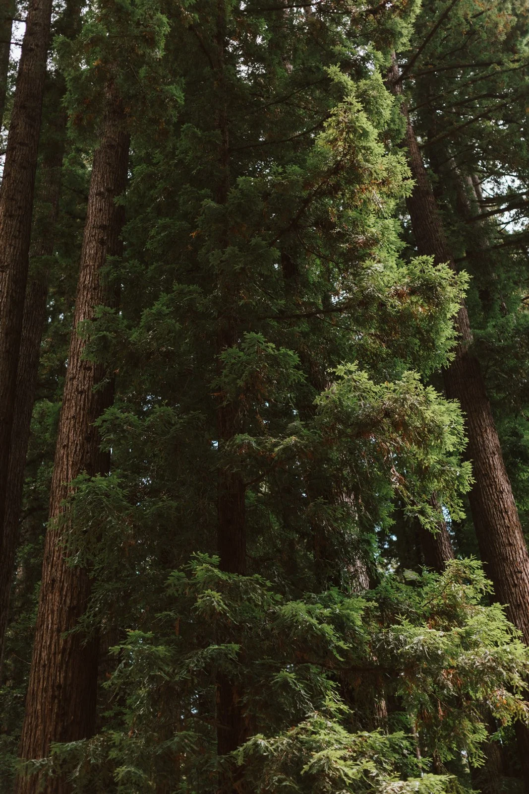 Ally & Matt Wedding 00016.jpg