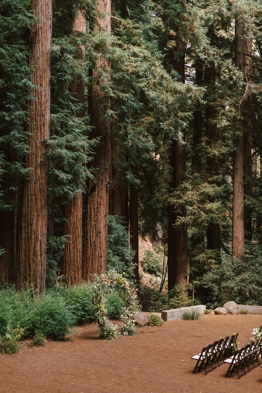 Ally & Matt Wedding 00283.jpg