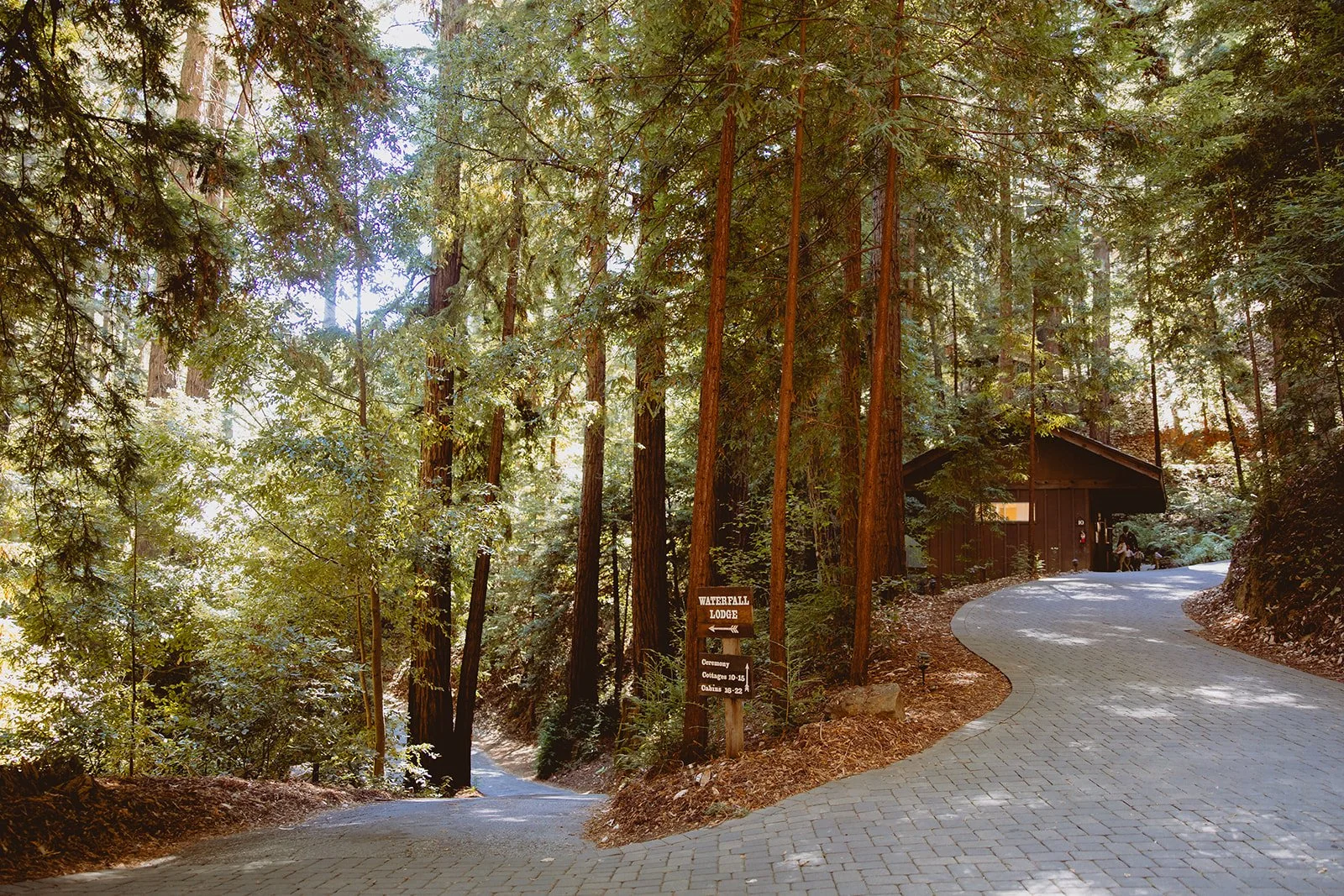 Waterfall Lodge Wedding by Event by Dawn.jpg