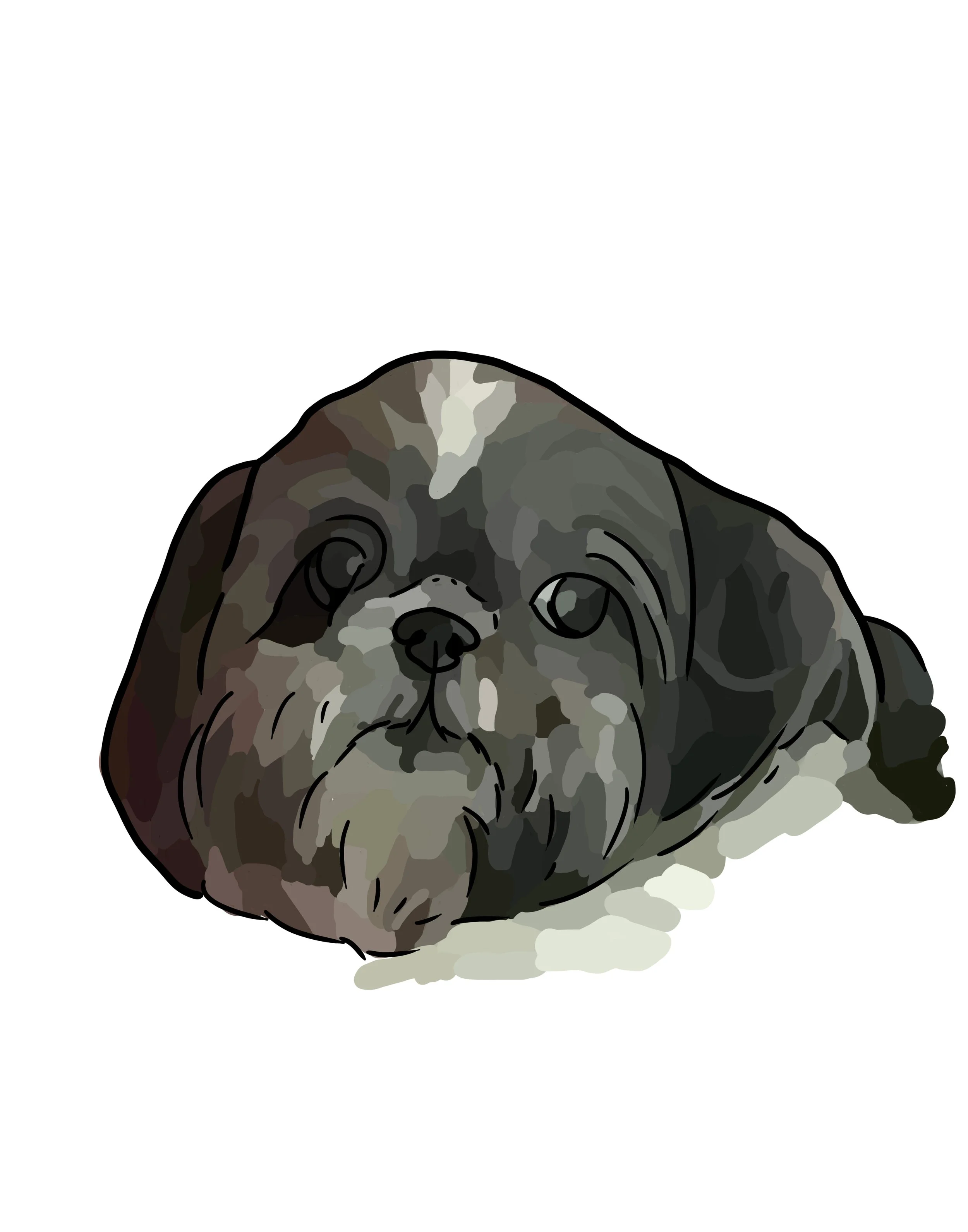 Amber-1.jpg