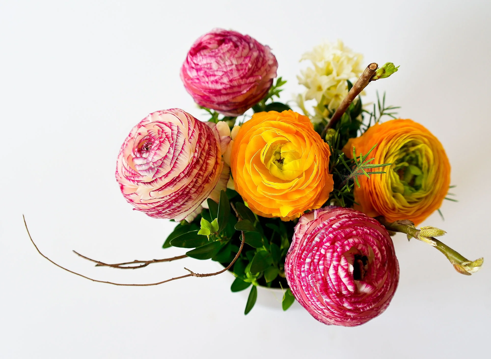 flowers-342532.jpg