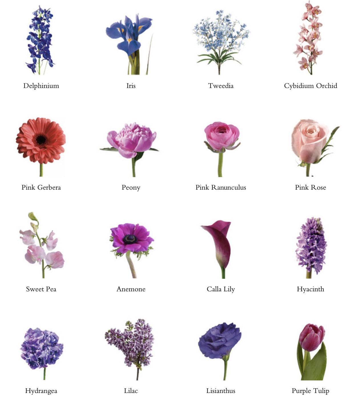 Screen Shot 2019-04-27 at 9.24.07 AM.png