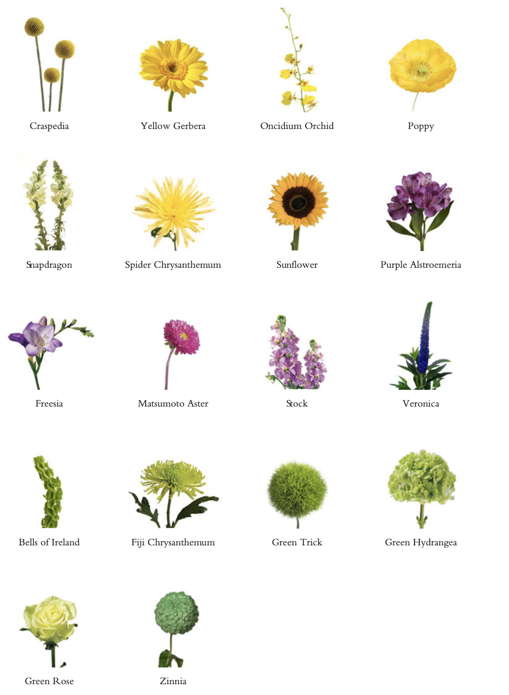 Screen Shot 2019-04-27 at 9.27.24 AM.png