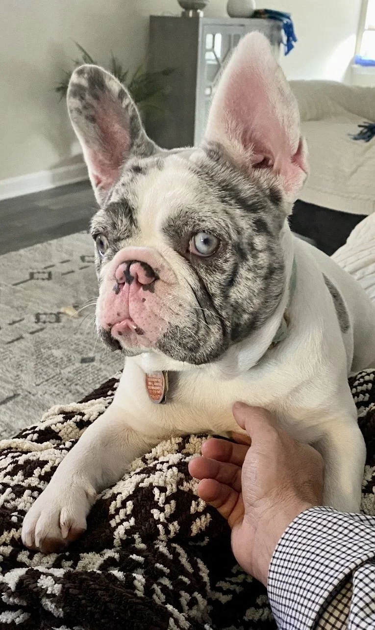 View recent photos.jpeg