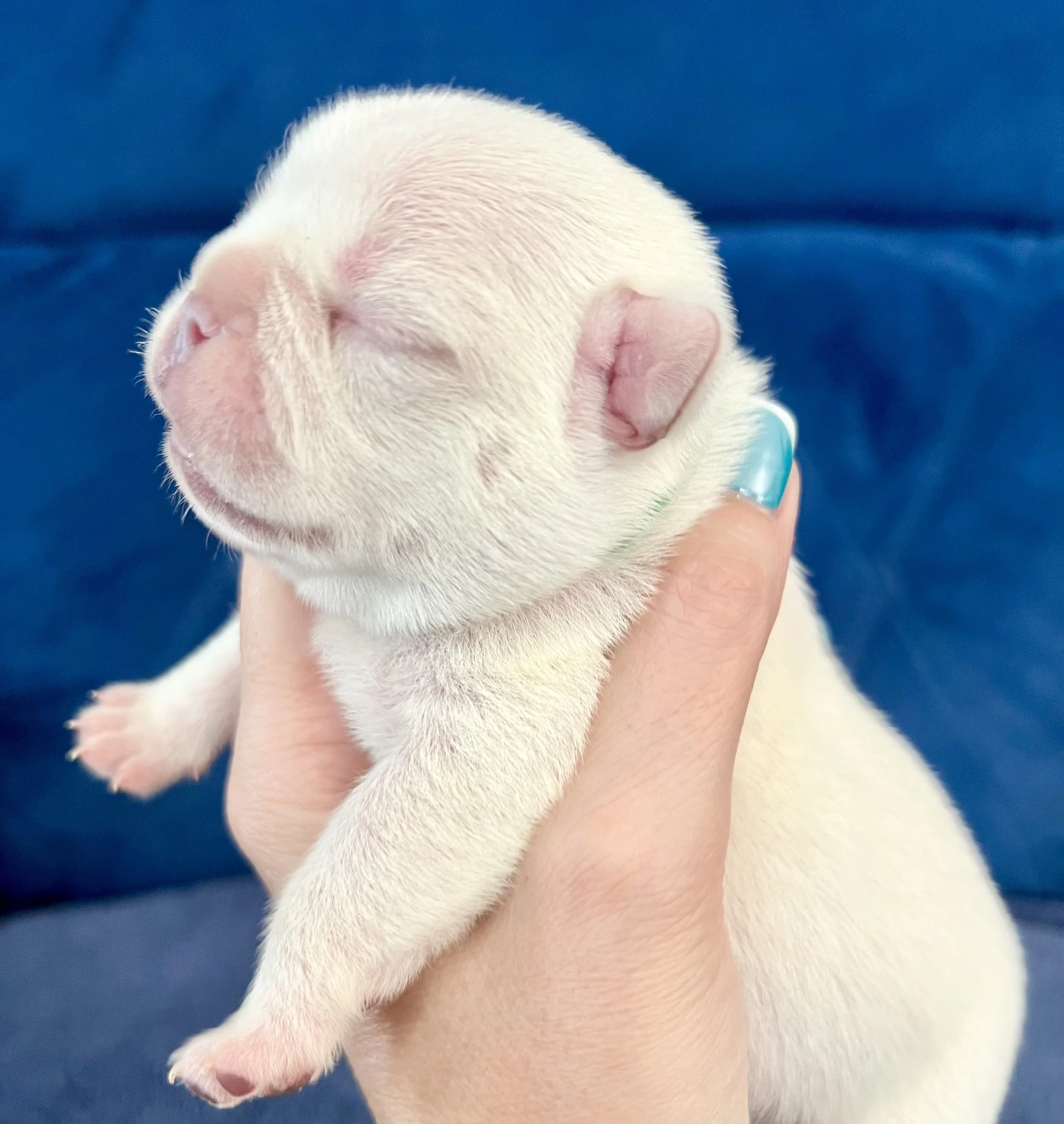 IMG_1963.jpeg
