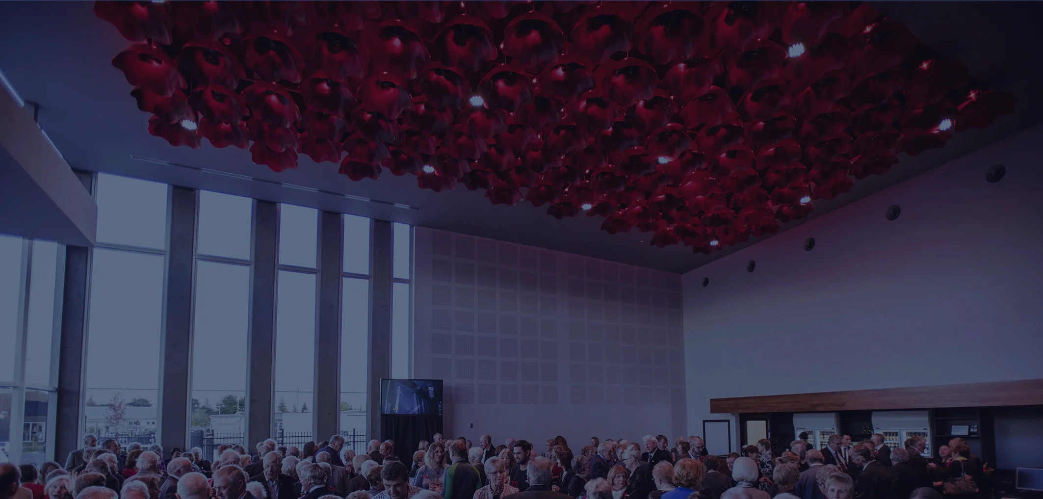 STR_7828 CROP opacity 70.jpg