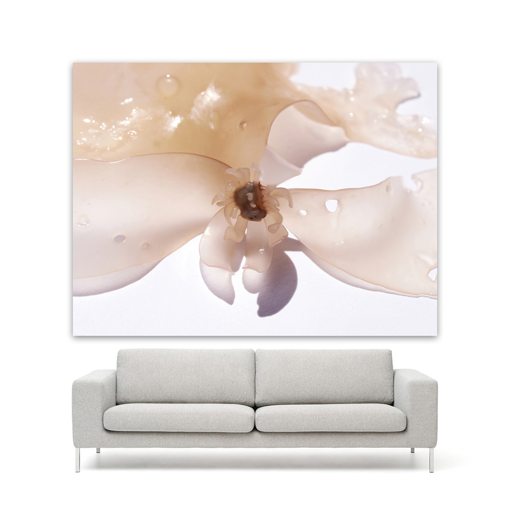 Bensen_Neo_SEAWEED NO 2_ABOUT.jpg