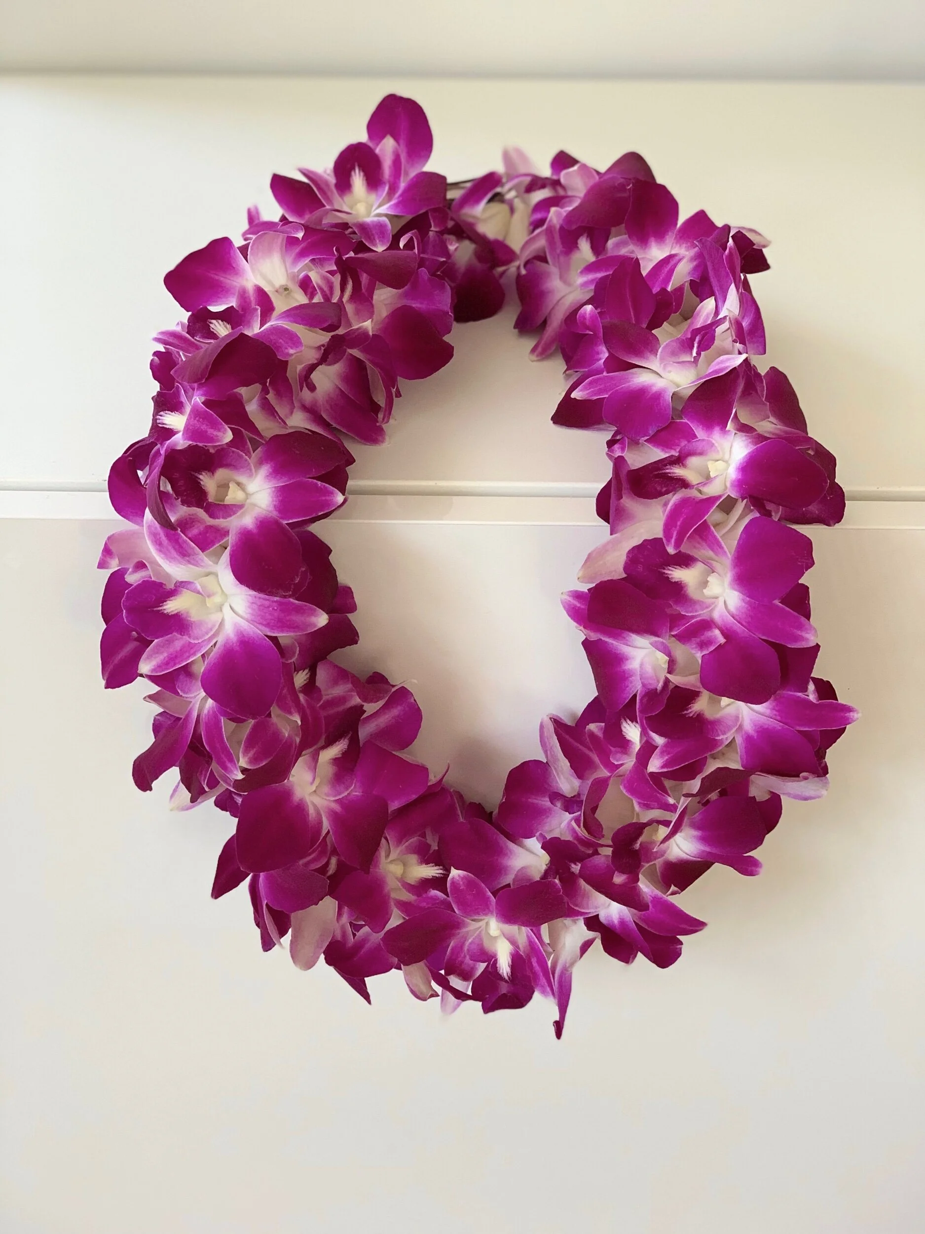 A7498B31-BA5D-41BE-99C1-2FEF36057E39