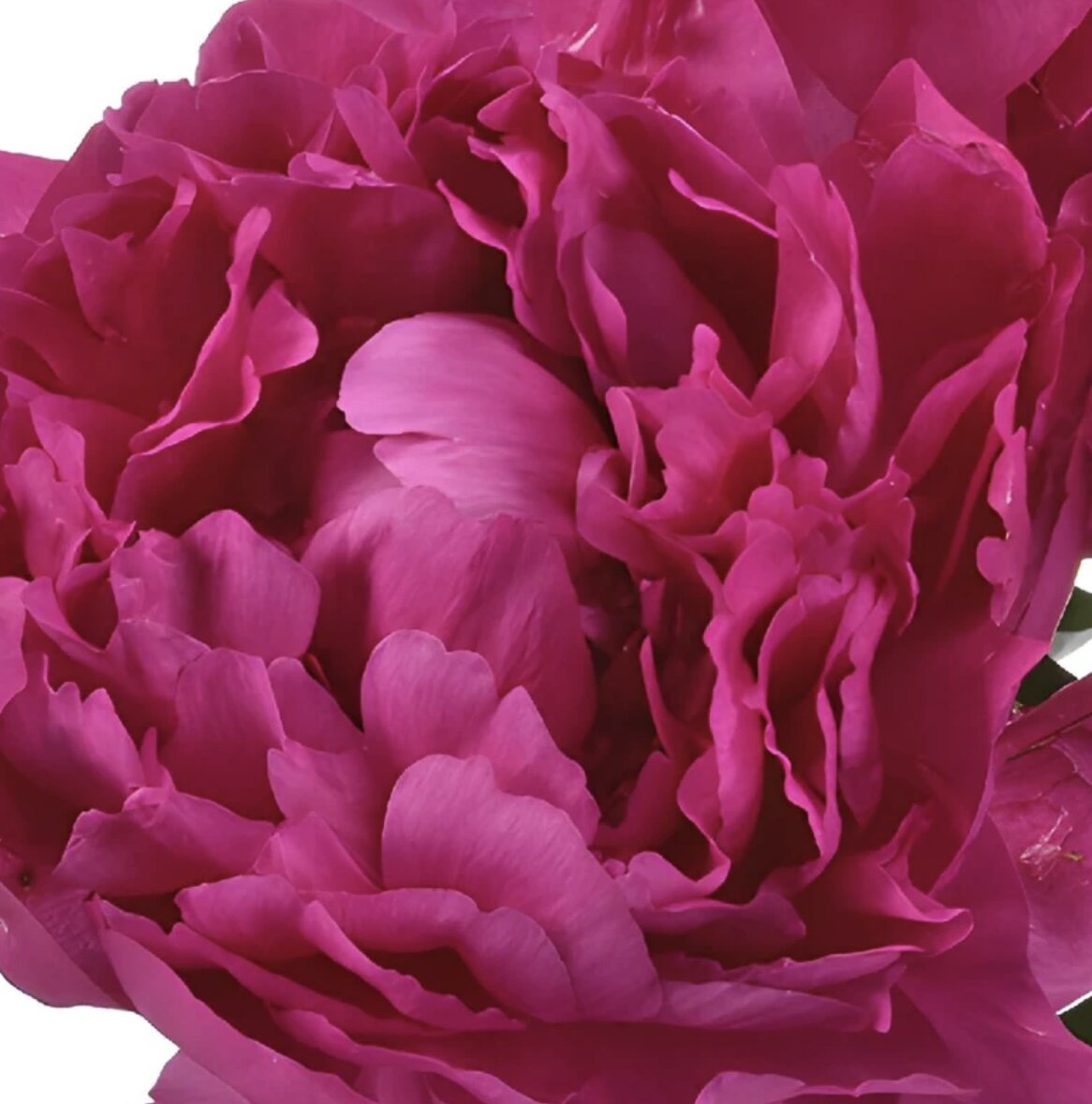 C74660CF-4062-4D7B-9B1F-7402478F1E67