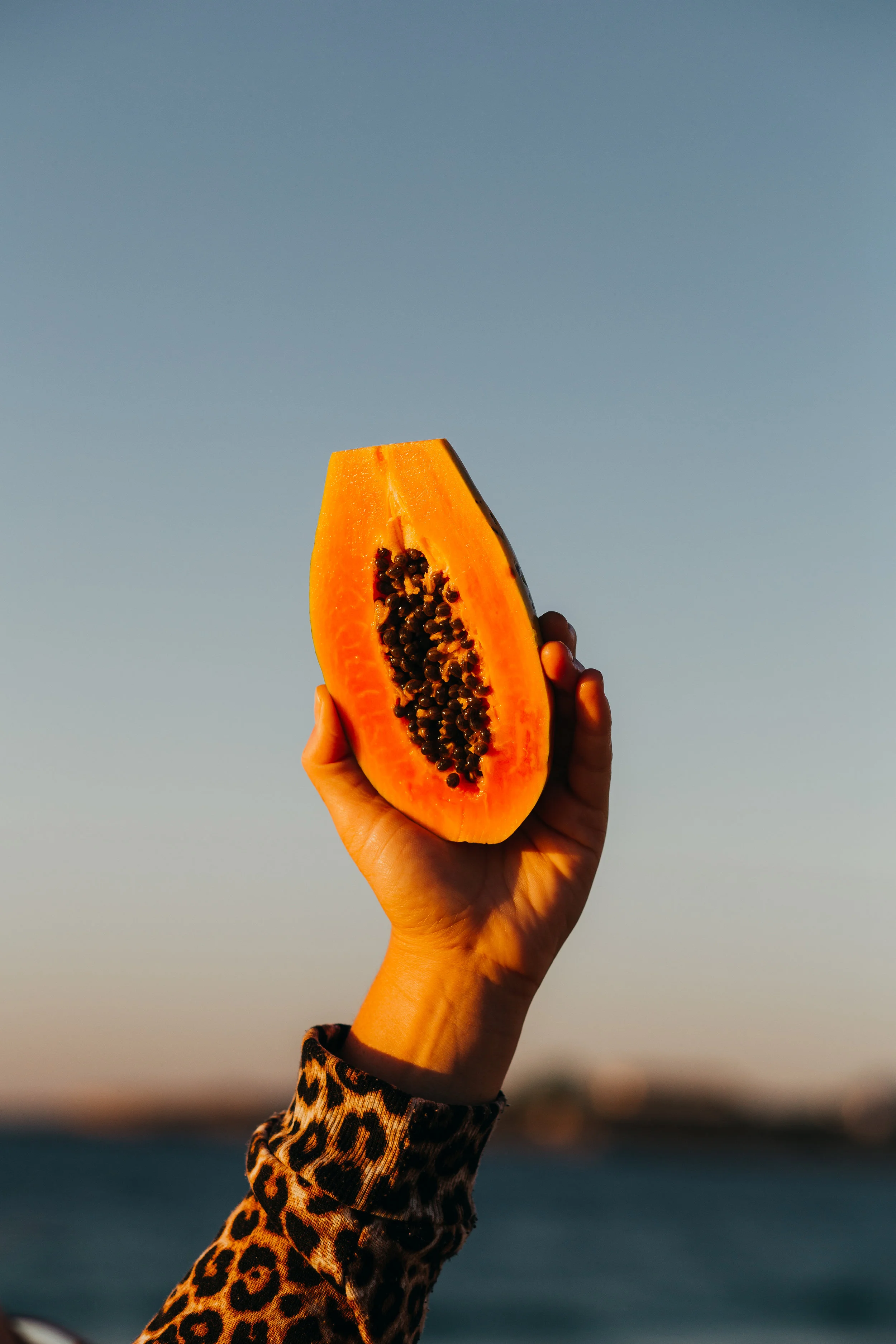 Can I claim a Papaya if I use it on a photoshoot?&nbsp;