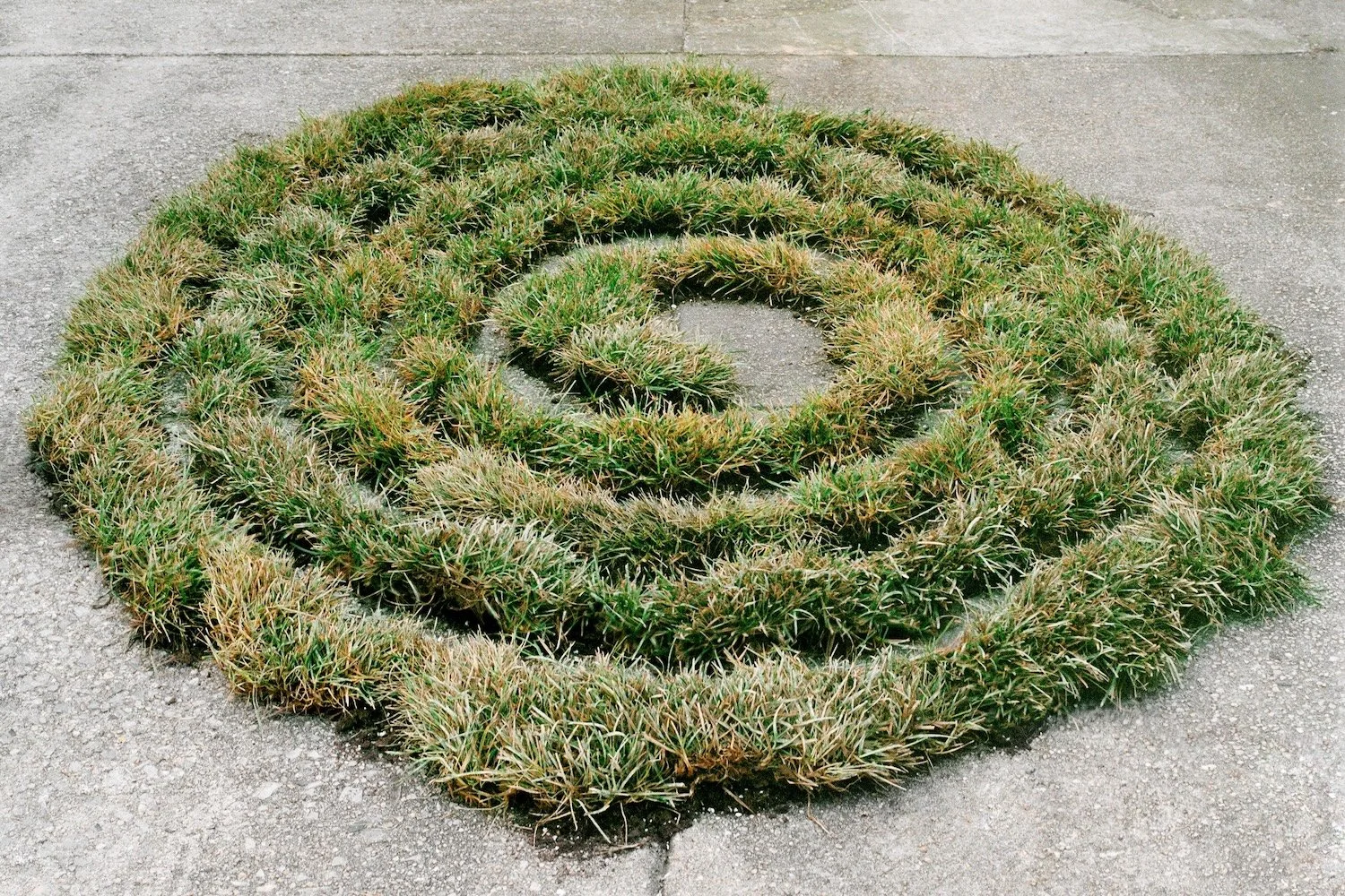 05_Untitled (Concrete Spirals II)_2025.jpg