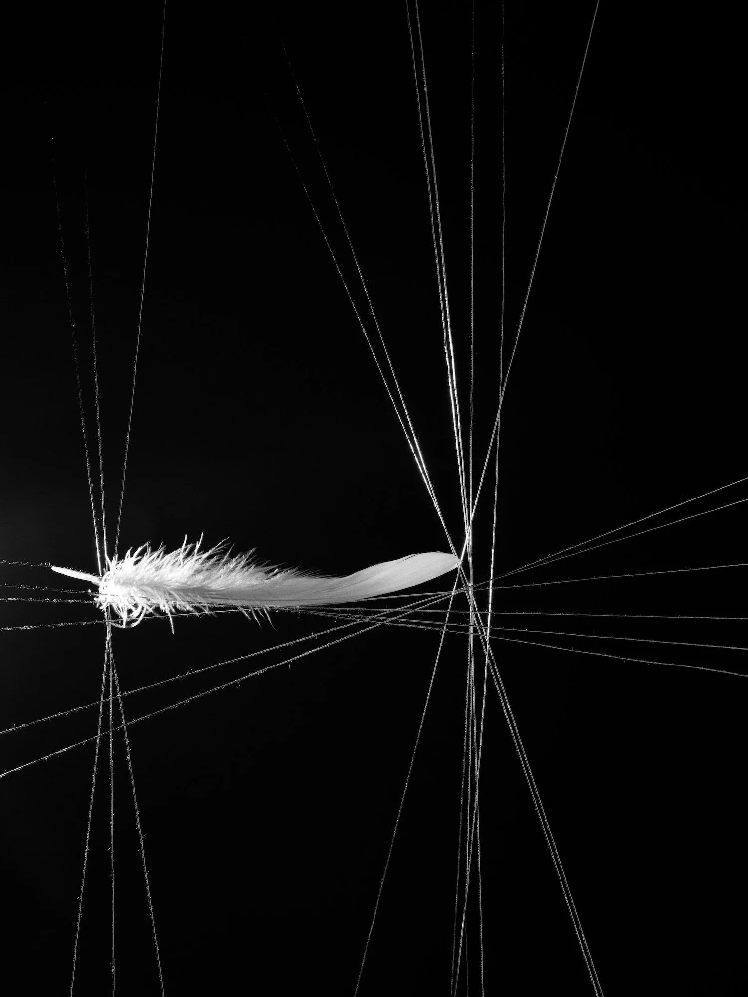 07_Free Fall (By Force)_2025.jpg