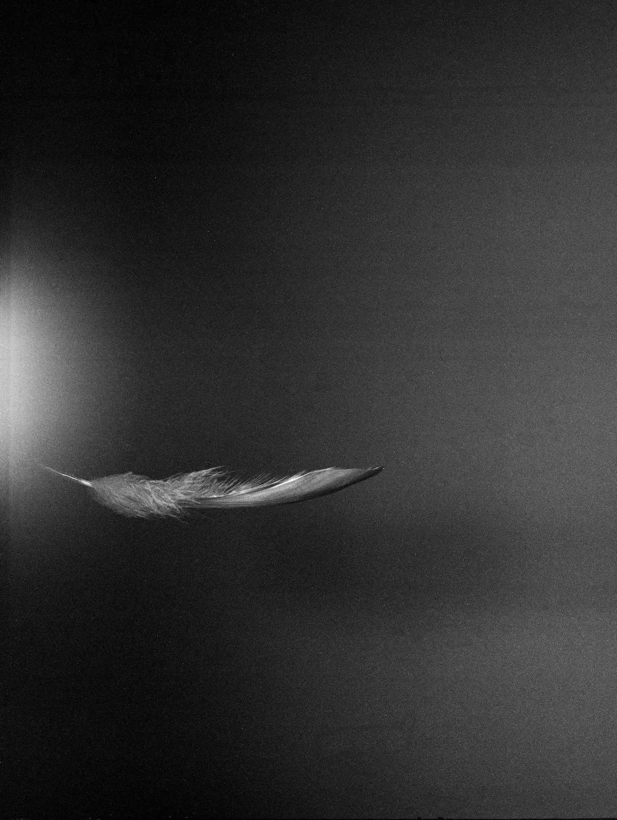 06_Free Fall (By Chance)_2025.jpg